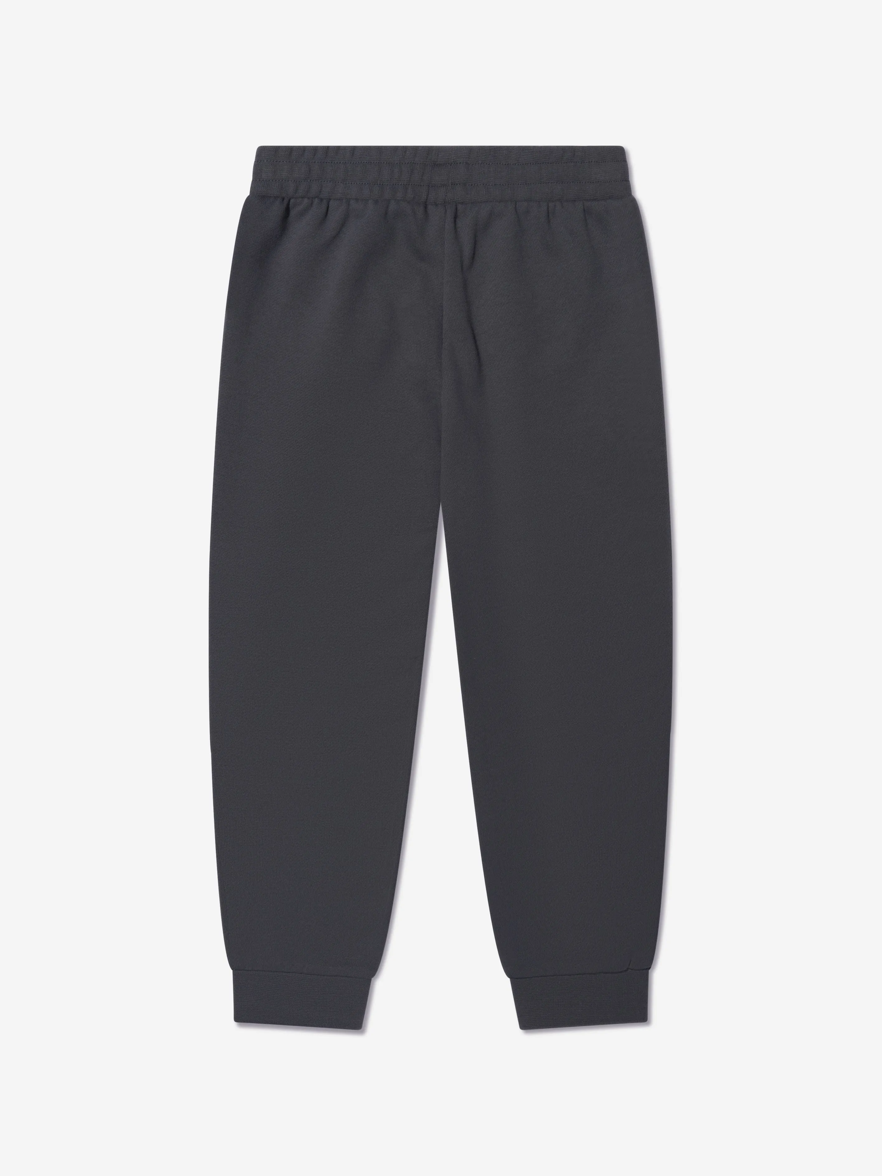 EA7 Emporio Armani Boys Logo Joggers in Grey