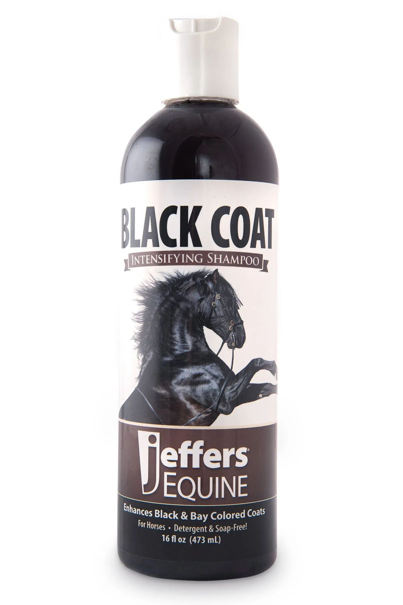 Jeffers Black Coat Intensifying Horse Shampoo for Black & Bay Coats